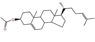 Cholesta-5,24-dien-3b-yl acetate
